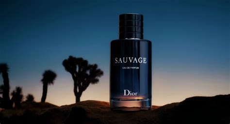 sauvage dior coupon|sauvage dior scheda tecnica.